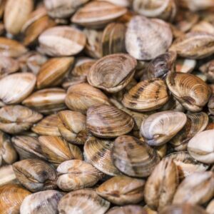 vongole