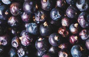 Guida alle Spezie ed Erbe Aromatiche