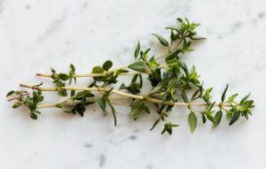 Guida alle Spezie ed Erbe Aromatiche