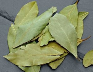 Guida alle Spezie ed Erbe Aromatiche