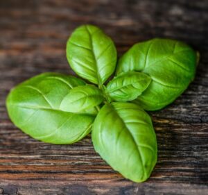 Guida alle Spezie ed Erbe Aromatiche