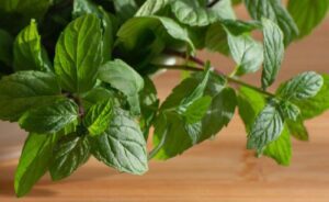 Guida alle Spezie ed Erbe Aromatiche