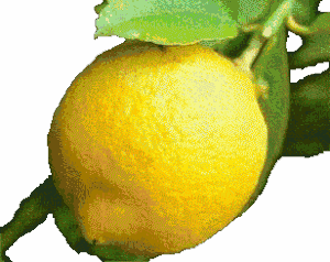Granita al Limone siciliana